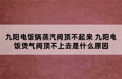 九阳电饭锅蒸汽阀顶不起来 九阳电饭煲气阀顶不上去是什么原因